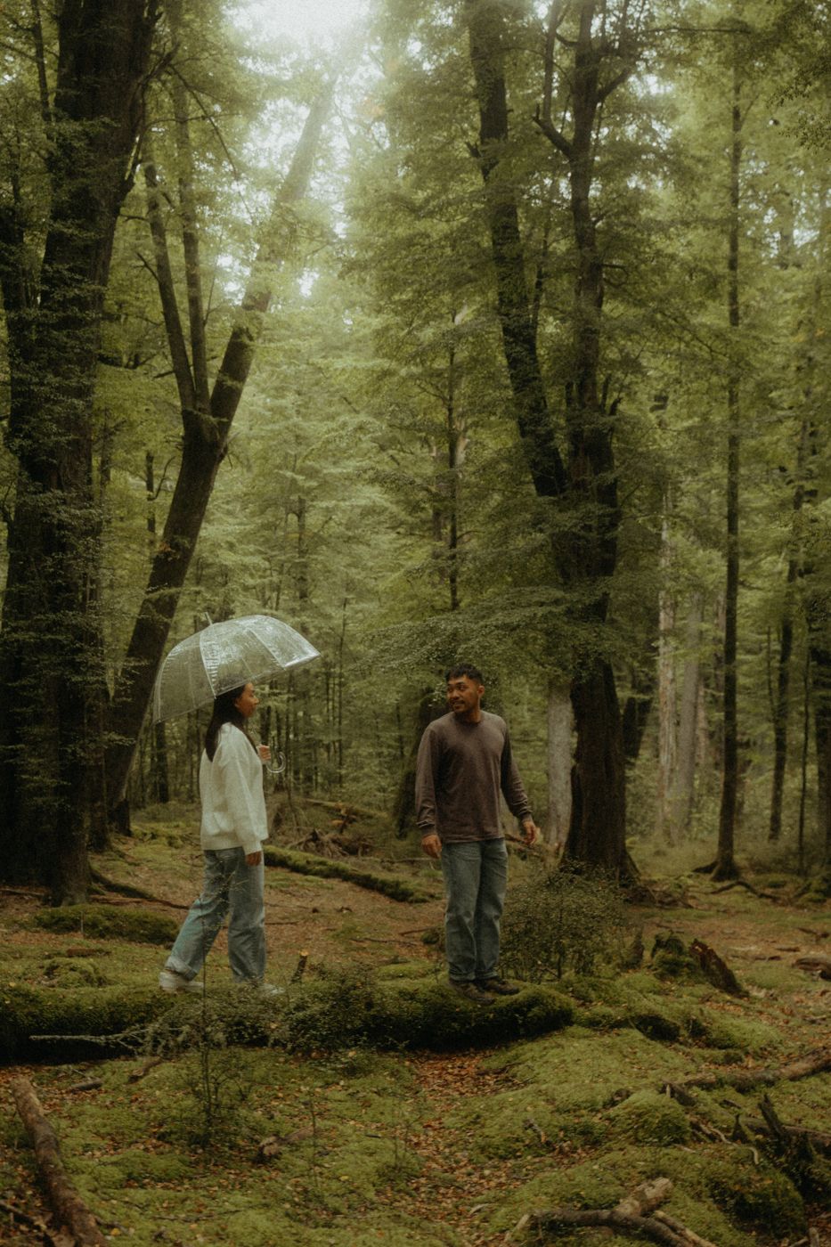 Clarissa under a clear umbrella and Eddison standing on a mossy log in a green forest