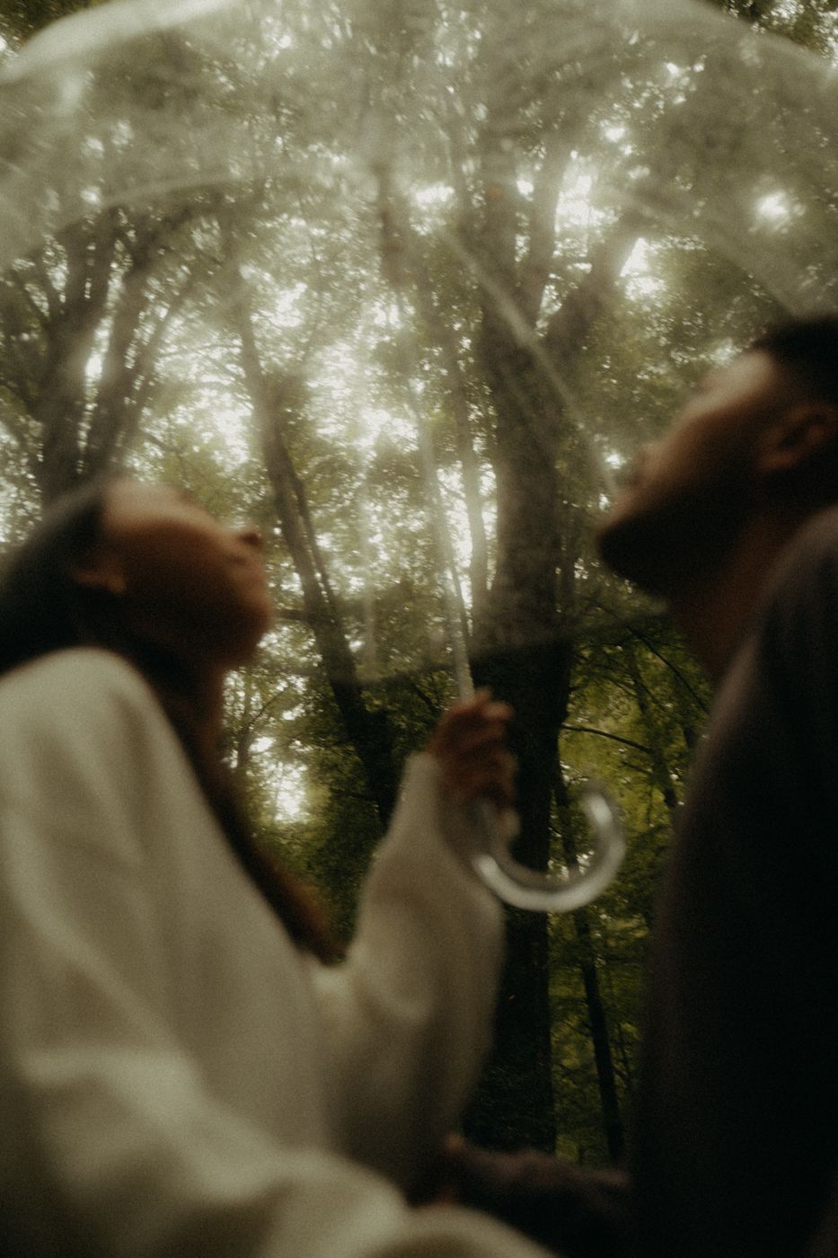 A soft, dreamy view looking up through a clear umbrella at the forest canopy, Eddison and Clarissa looking up